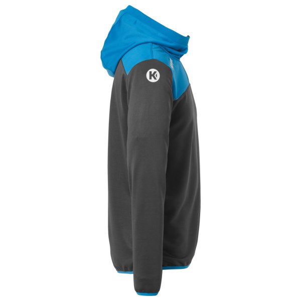 Kempa EMOTION 2.0 QUARTER ZIP HOODY Speichern exportieren