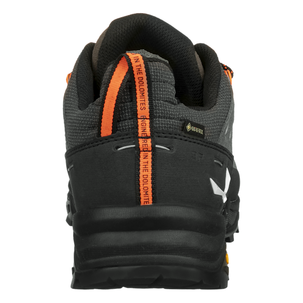 Salewa Alp Trainer 2 Gore-Tex® Schuh Herren Cyber Monday