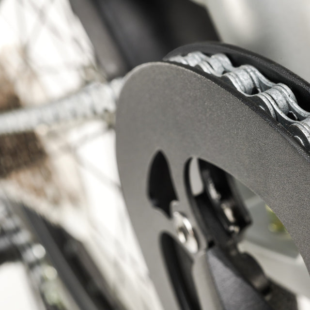 COAST Bikes COAST Bikes Klapprad Hightide No. 03 8-Gang Silver &vert; fahrrad.de zollfrei
