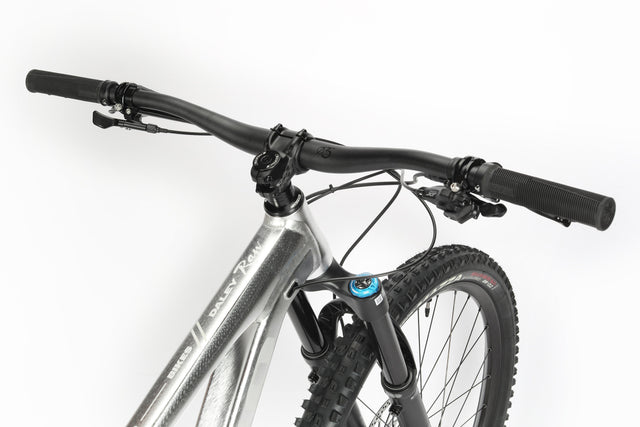 Haro Bikes Haro Bikes Daley Alloy LTD 2 Raw &vert; fahrrad.de Valentinstagsangebot