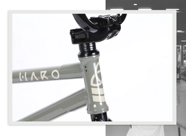Haro Bikes Haro Bikes "Dennis Enarson SD" AM &vert; fahrrad.de Exklusive Angebote