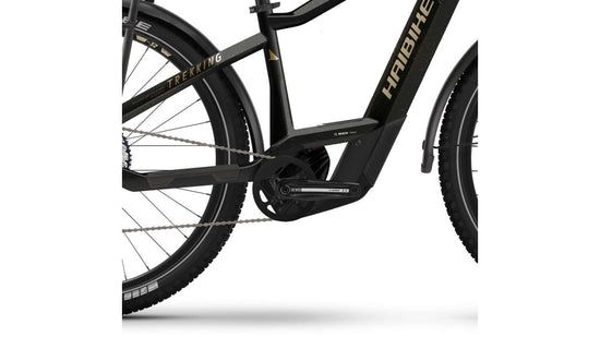 Haibike Trekking 11 online kaufen Jubiläumsangebot