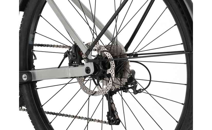 Carver Gravel 100 Street - 28 Zoll - Diamant - 2024 Osterangebot