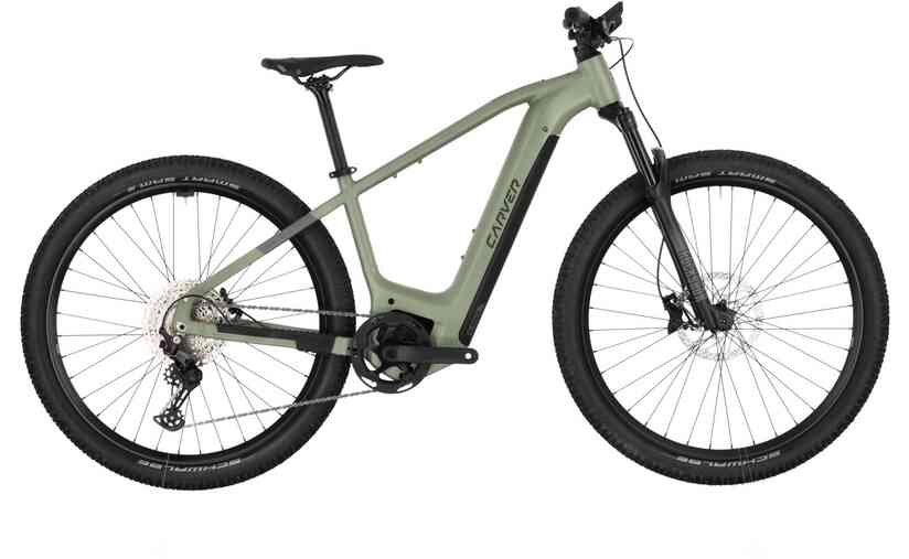 Carver Strict E.560 - 750 Wh - 29 Zoll - Diamant Tiefpreis