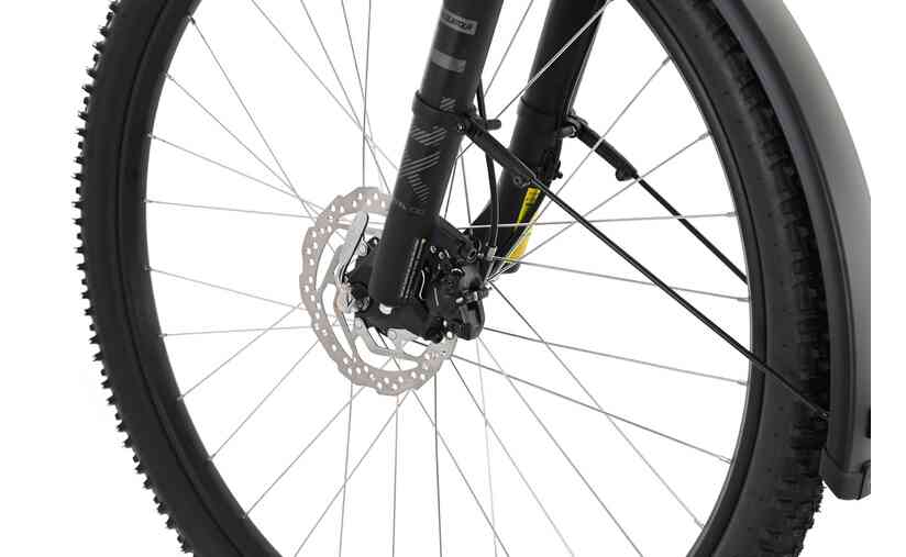 Carver Strict 120 Street - 29 Zoll - Diamant - 2024 Angebote