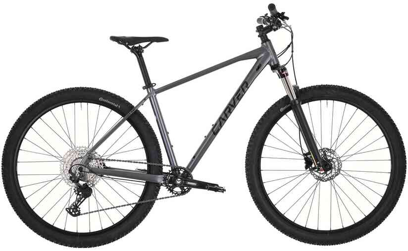 Carver Strict 140 - 29 Zoll - Diamant - 2024