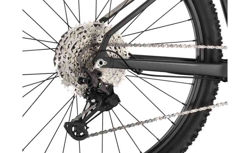 Carver Strict 170 - 29 Zoll - Diamant - 2025 Super Rabatt